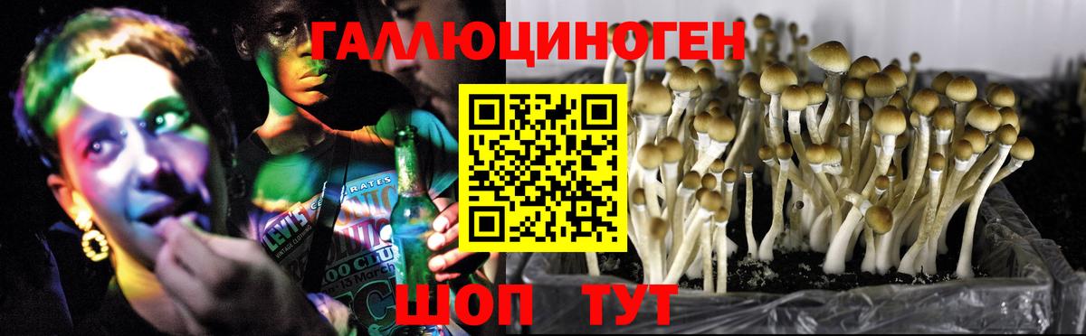 Псилоцибиновые грибы прущие грибы Серпухов