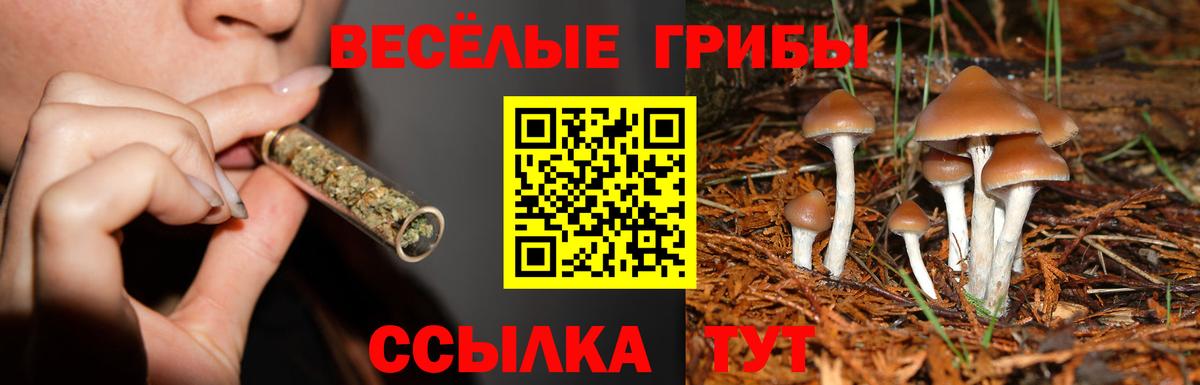 Серпухов  Псилоцибиновые грибы Cubensis  Псилоцибиновые грибы Magic Shrooms  Вход с VPN 
